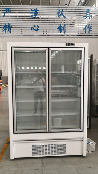 Blizzard LD 0.8 2 Glass Door 1100L Vertical Freezer