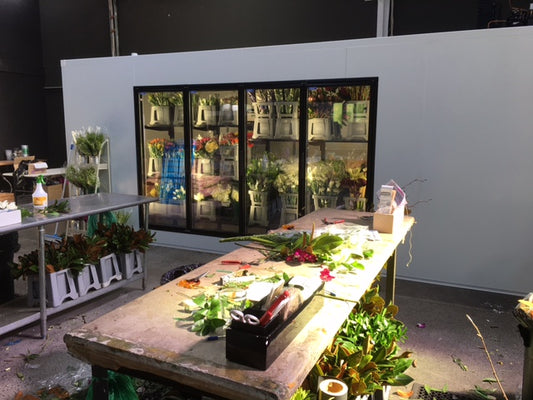 Album MISA Cool, Freezer, Production & Prover Rooms - POA